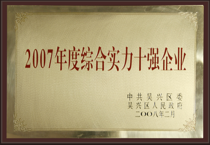 2007年度綜合實(shí)力十強企業(yè)